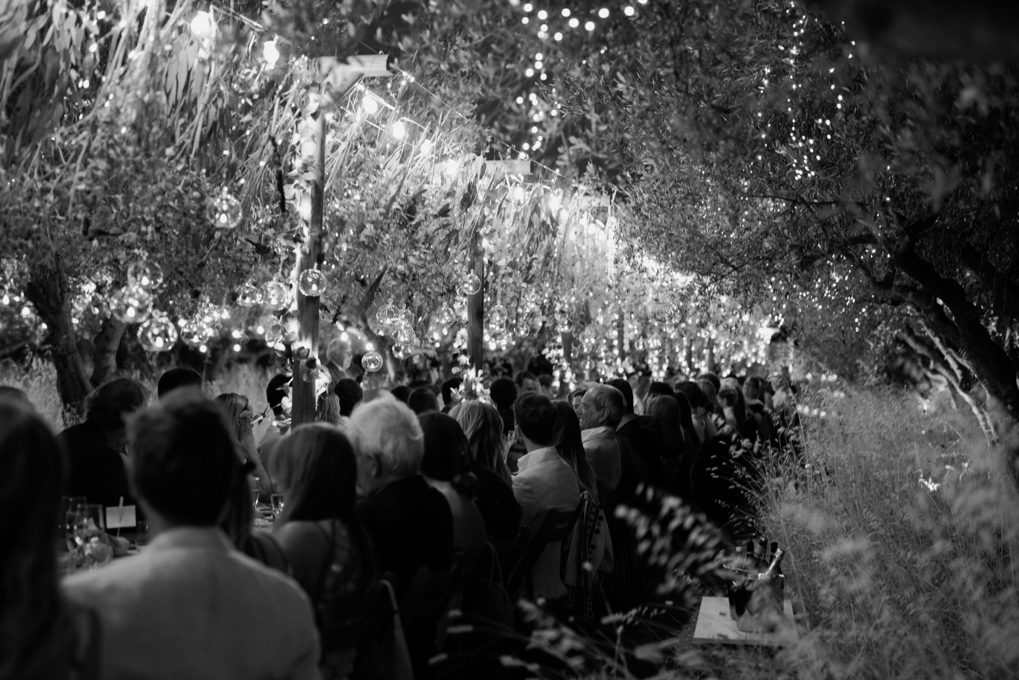 A long table in an olive grove with wildflowers hanging above it