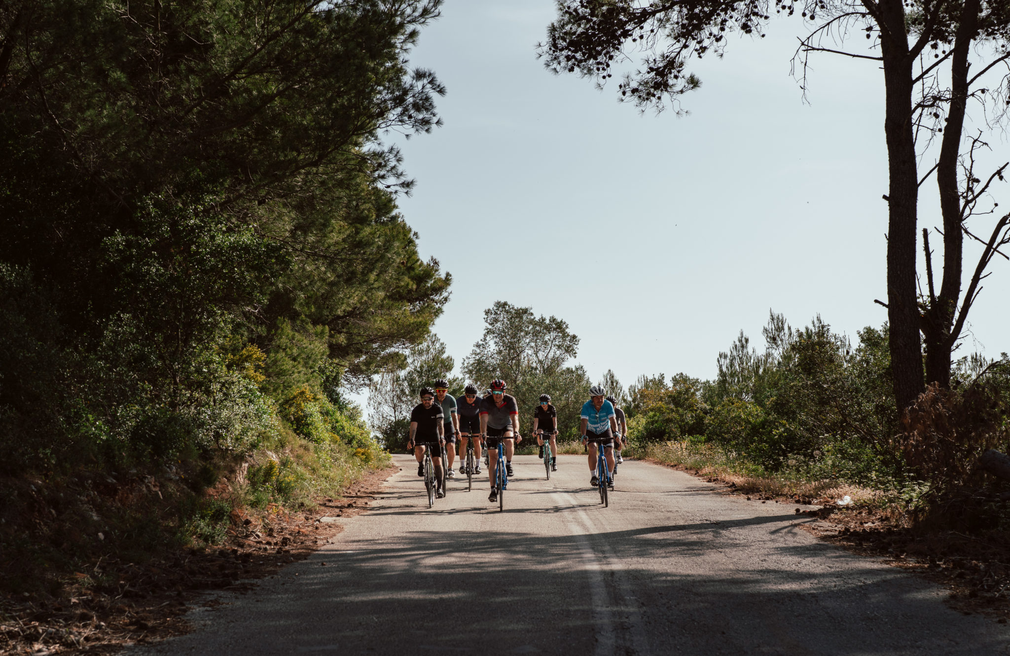 A group of cyclists on a pretty tree lined road
